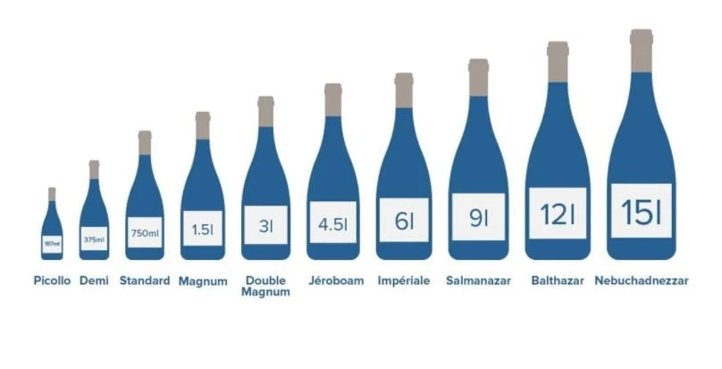 How Tall Is A Wine Bottle? (Standard & Other Wine Bottles)